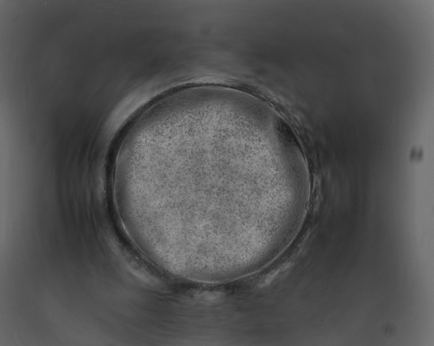 X0000092260247200710051325