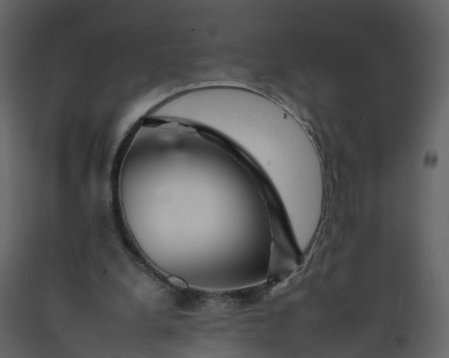 X0000092260248200710051325