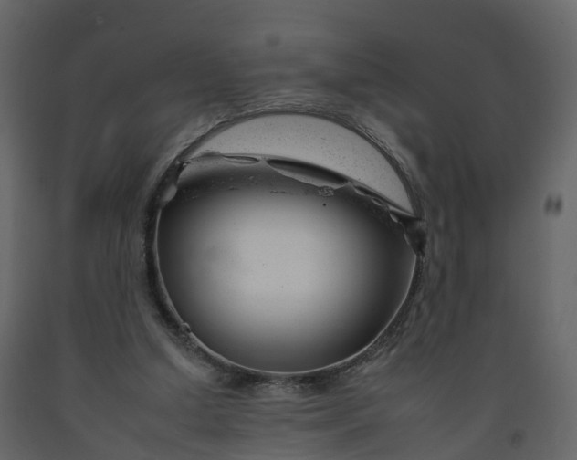 X0000092260250200710051325