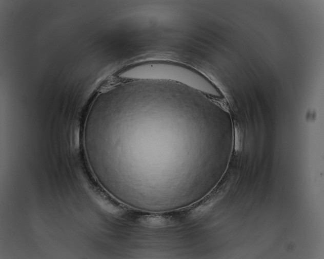 X0000092260253200710051325