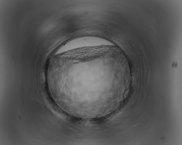 X0000092260254200710051325