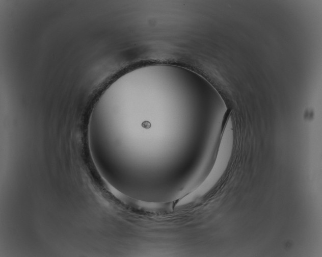 X0000092260256200710051325