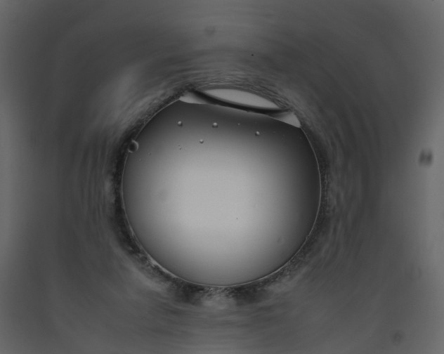 X0000092260258200710051325