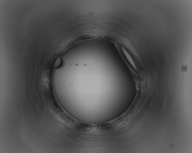 X0000092260259200710051325