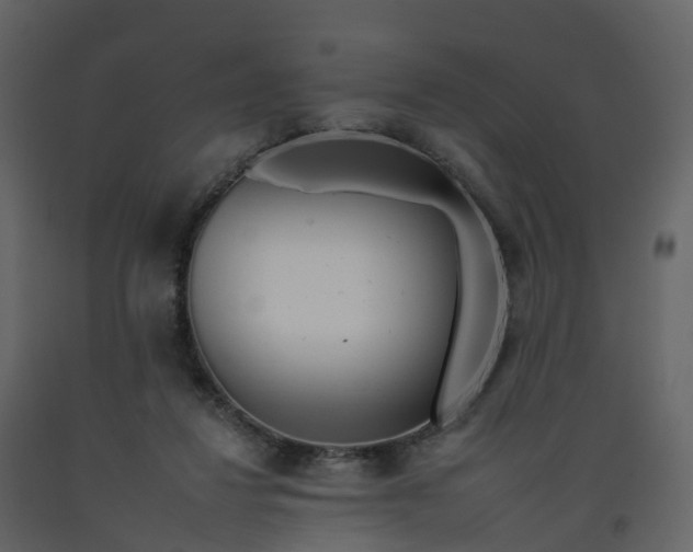 X0000092260260200710051325