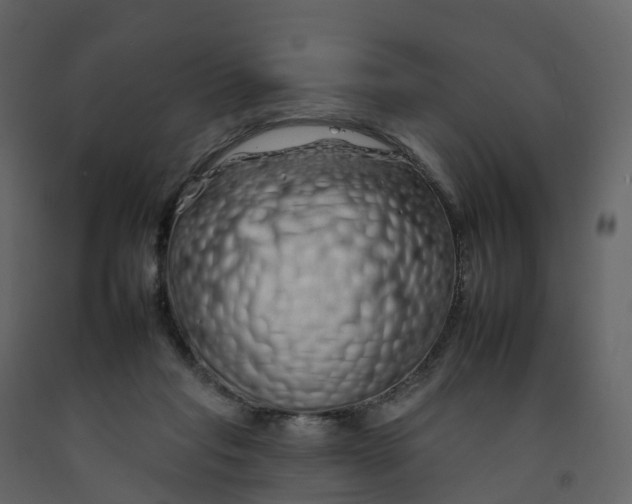 X0000092260261200710051325