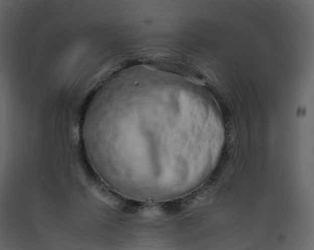 X0000092260262200710051325