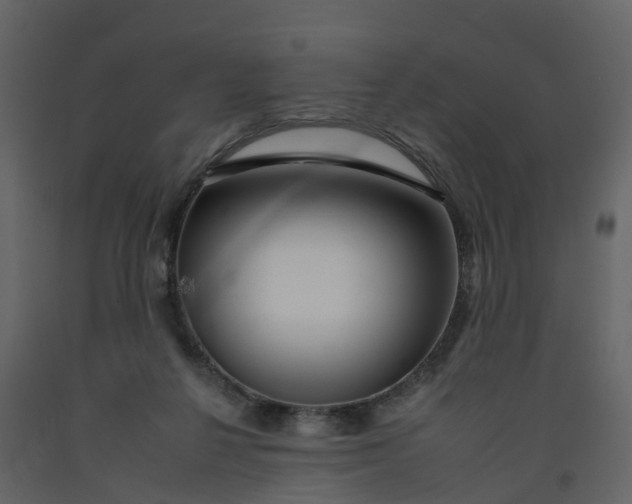 X0000092260264200710051325