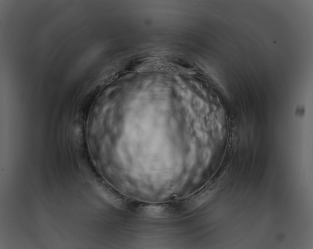 X0000092260265200710051325