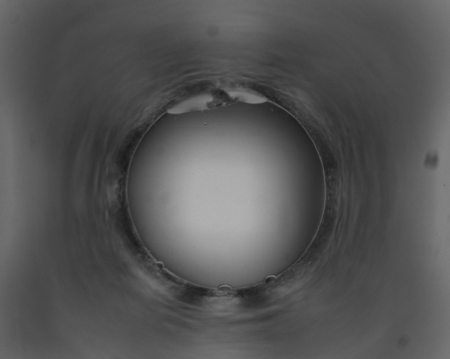 X0000092260266200710051325