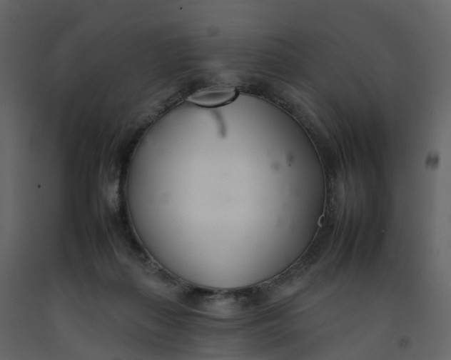 X0000092260267200710051325