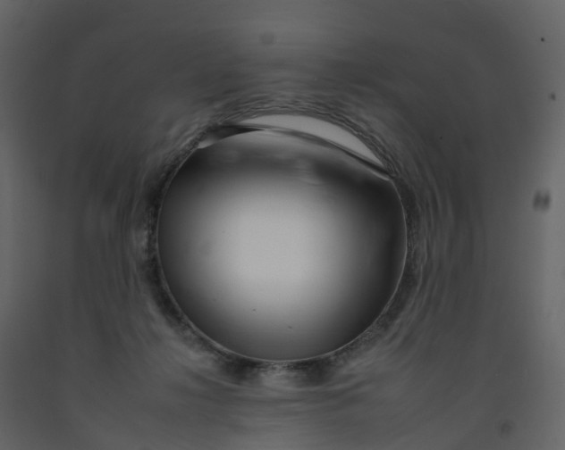 X0000092260268200710051325