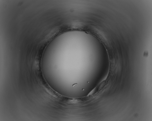 X0000092260269200710051325