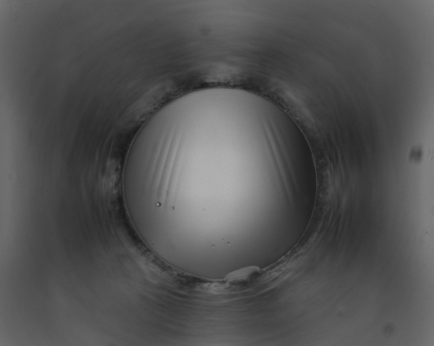 X0000092260273200710051325