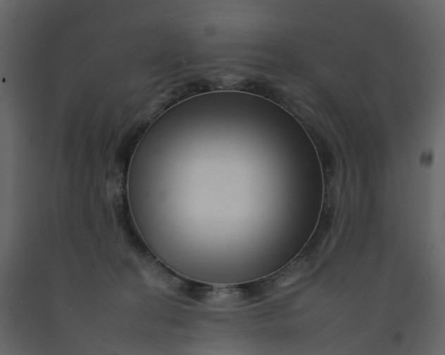 X0000092260274200710051325