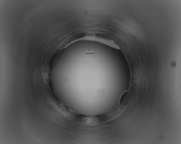 X0000092260275200710051325