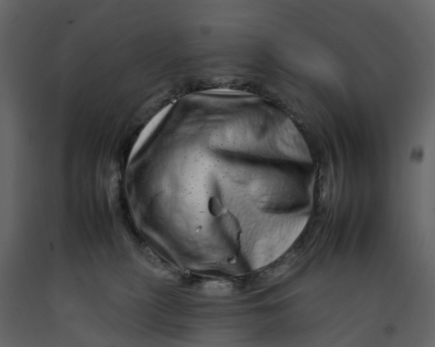 X0000092260279200710051325