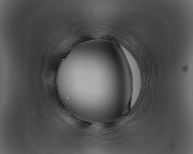 X0000092260280200710051325