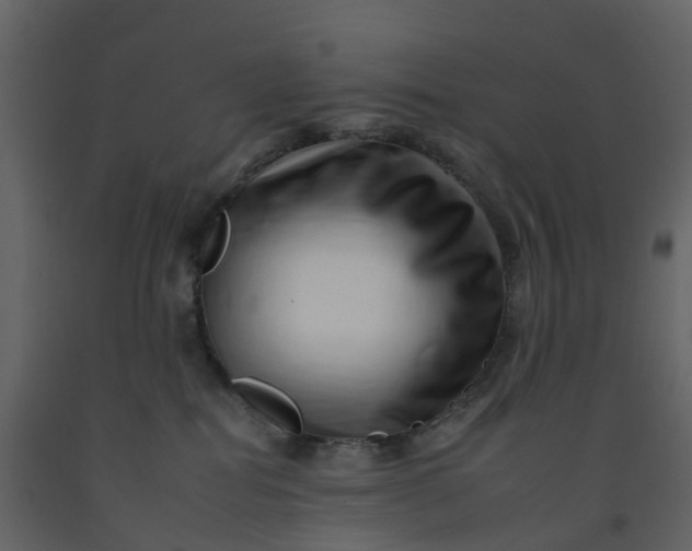 X0000092260282200710051325