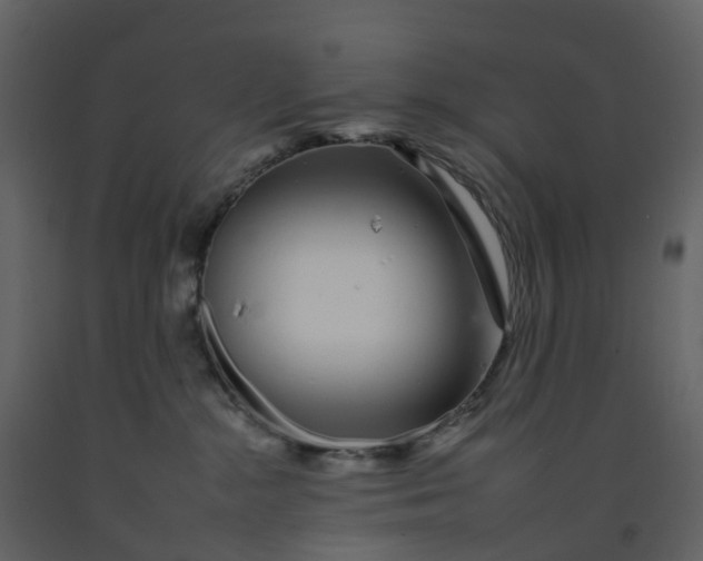 X0000092260284200710051325