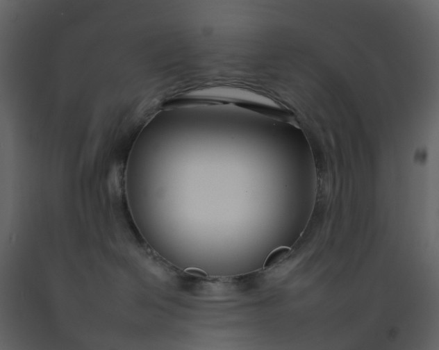 X0000092260286200710051325