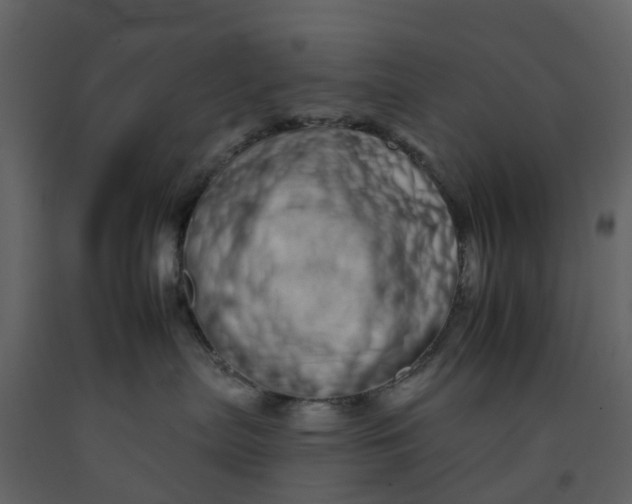 X0000092260287200710051325