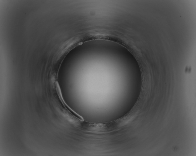 X0000092260288200710051325