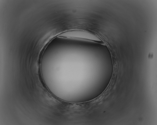 X0000092260290200710051325