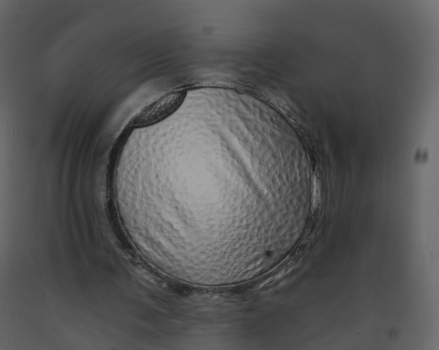 X0000092260291200710051325