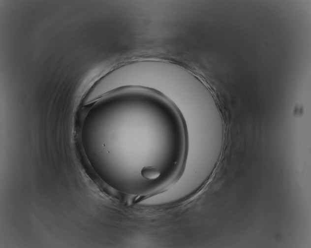 X0000092260293200710051324