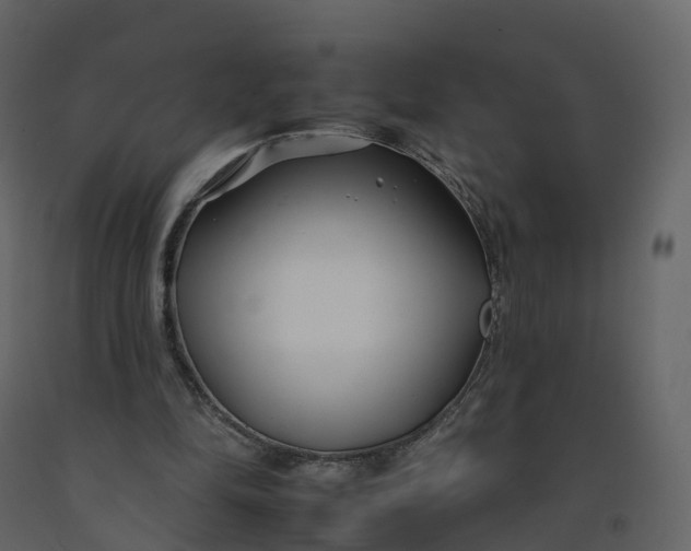 X0000092260294200710051324