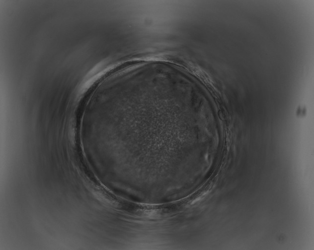 X0000092260295200710051324