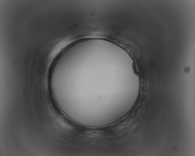 X0000092260296200710051324