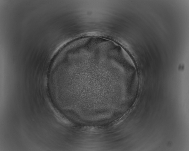 X0000092260297200710051324