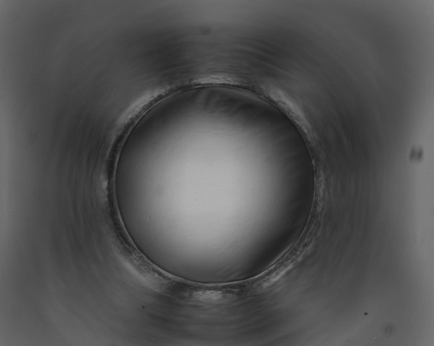 X0000092260298200710051324