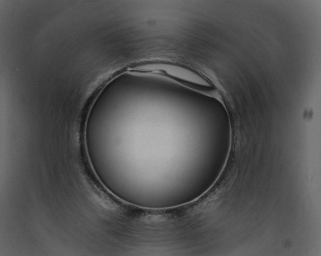 X0000092260299200710051324