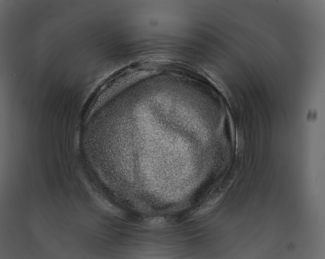 X0000092260301200710051324