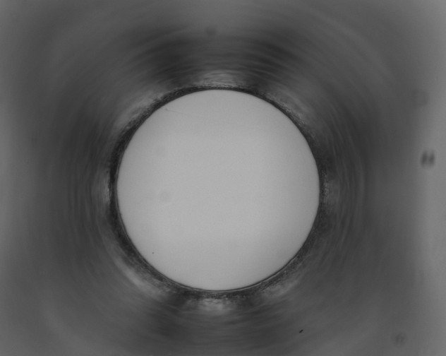 X0000092260302200710051324