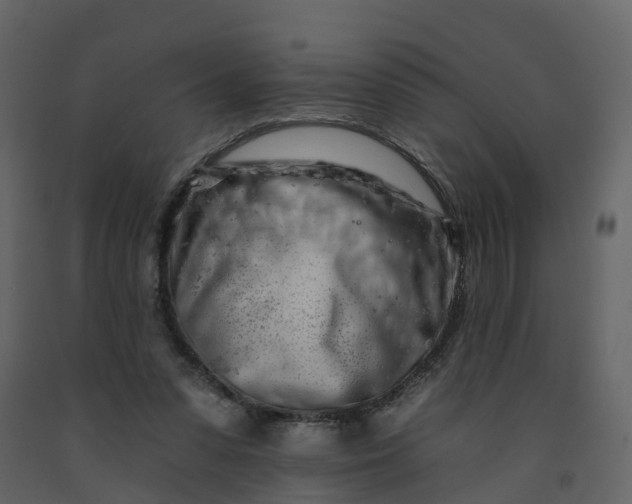 X0000092260303200710051324