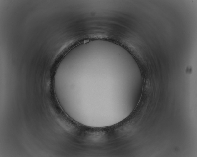 X0000092260304200710051324