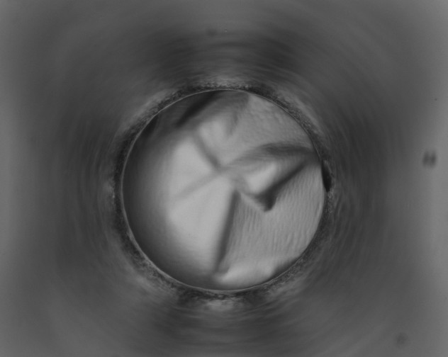 X0000092260306200710051324