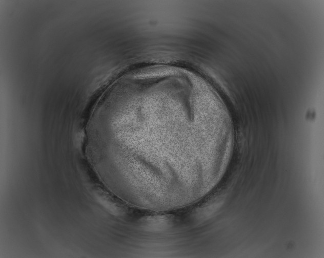 X0000092260307200710051324