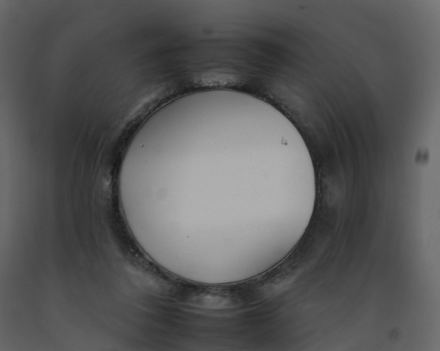 X0000092260308200710051324