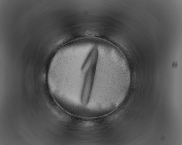 X0000092260310200710051324