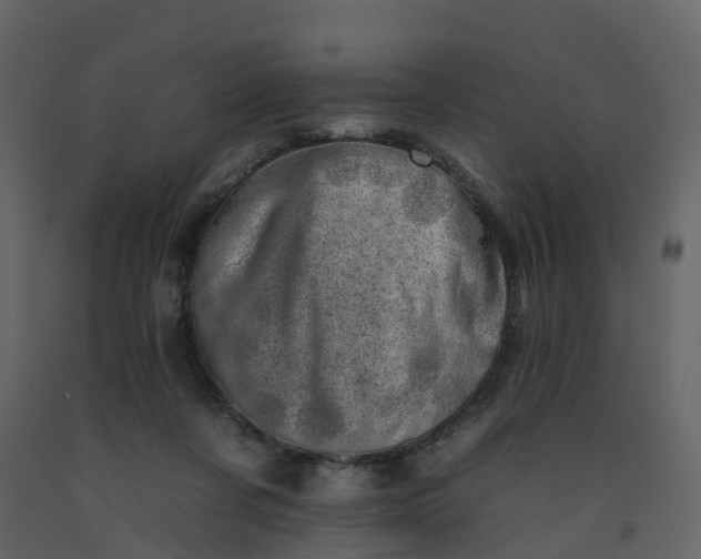 X0000092260311200710051324