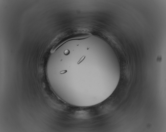 X0000092260312200710051324