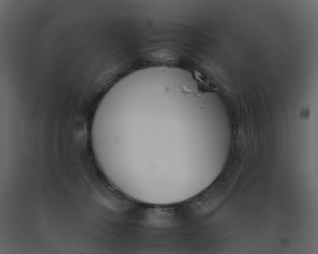 X0000092260320200710051324