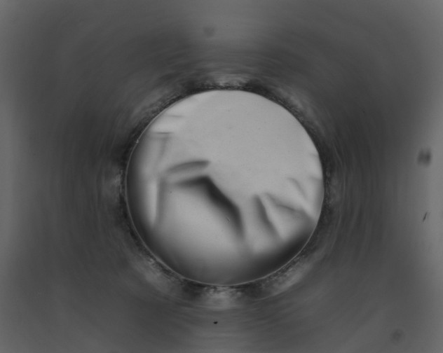 X0000092260321200710051324