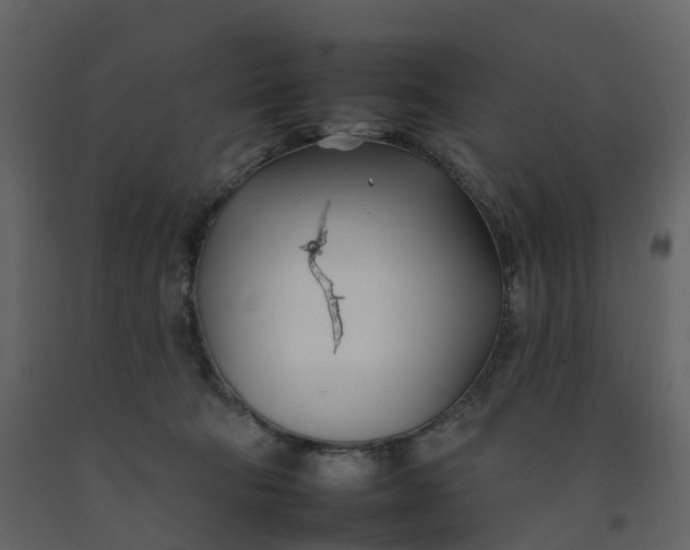 X0000092260322200710051324