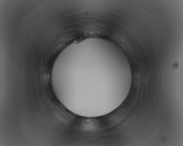 X0000092260324200710051324